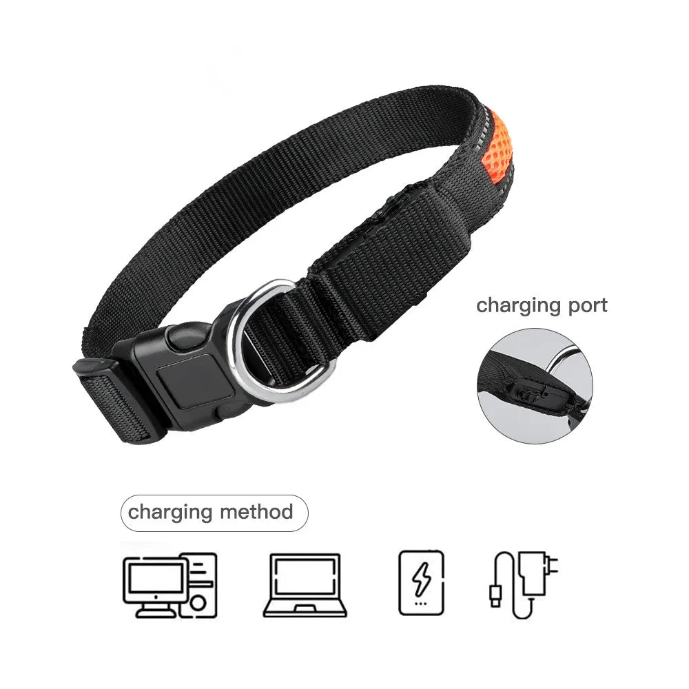 Flashing Nylon Dog Collar with LED Lighting, USB Charging Port & Steel Leash Clip, High Visibility Dog Spotter