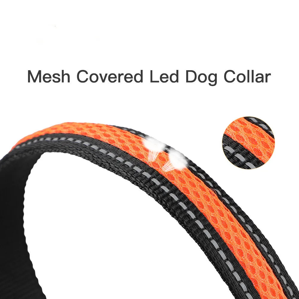 Flashing Nylon Dog Collar with LED Lighting, USB Charging Port & Steel Leash Clip, High Visibility Dog Spotter