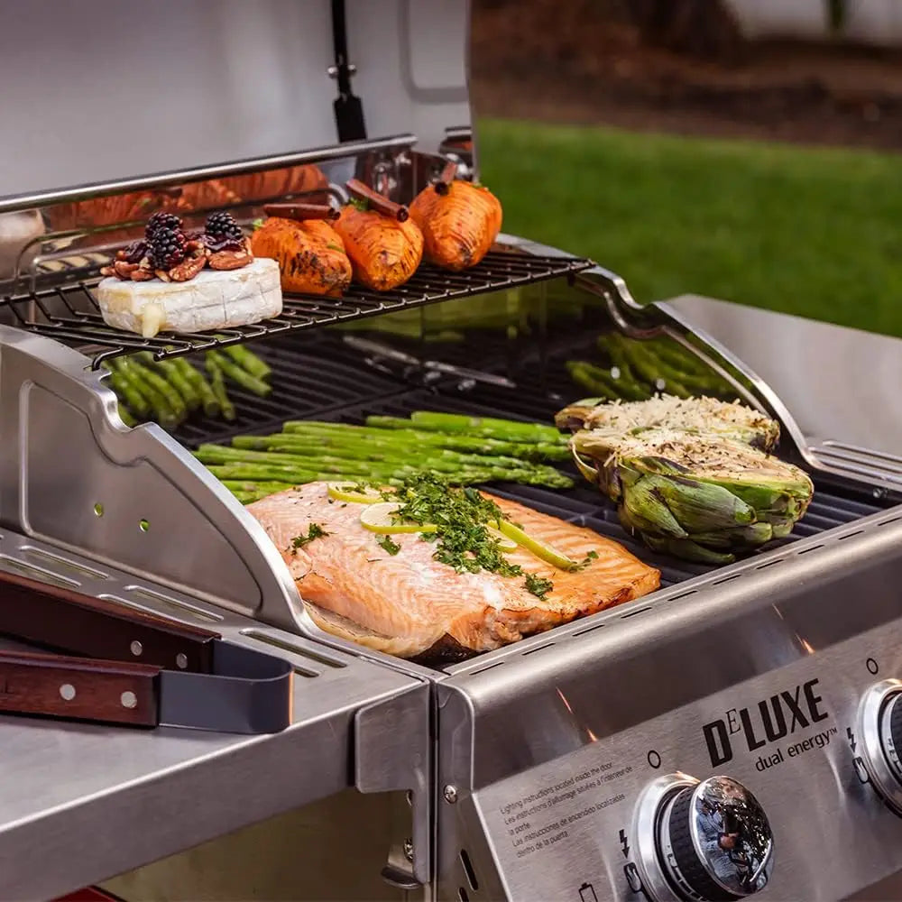 Compact 2-Burner Propane Gas 28,000 BTUs Grill with Warming Rack, Foldable Side Shelves & Porcelain Cast-Iron Cooking Grates