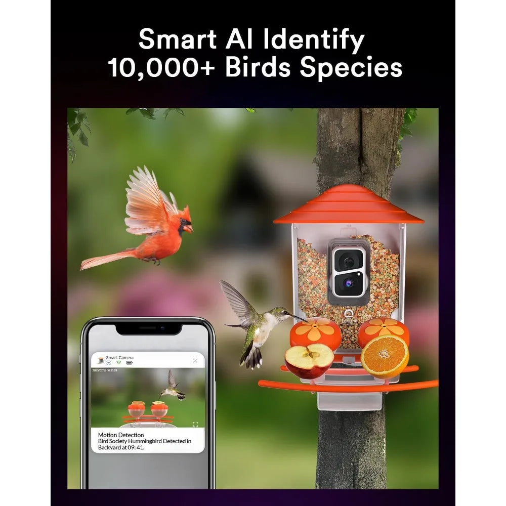 Smart Bird Feeder with Solar Powered Camera, 1080P HD, AI Identify 10000 Bird Species, Auto Capture Videos & Motion Detection