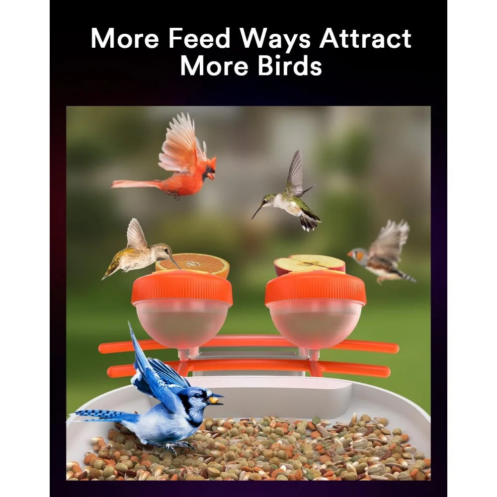 Smart Bird Feeder with Solar Powered Camera, 1080P HD, AI Identify 10000 Bird Species, Auto Capture Videos & Motion Detection