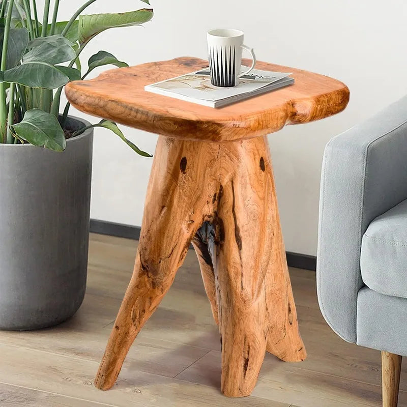 Wood Stump Side Table 18.9" Tall, Freeform Natural Plant Stand for Garden, Yard, Living Room or Bedroom