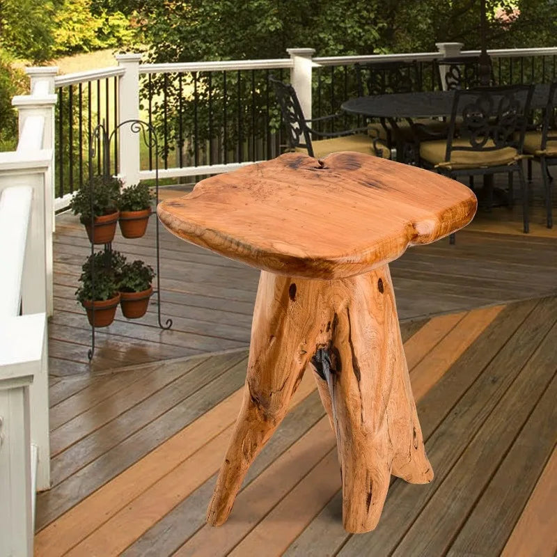 Wood Stump Side Table 18.9" Tall, Freeform Natural Plant Stand for Garden, Yard, Living Room or Bedroom