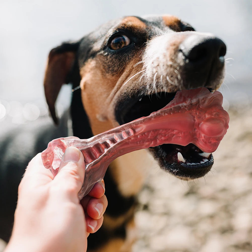 Bone-Shaped Dog Chew Toy for Aggressive Chewers, Made of Non-toxic Food-Grade Nylon, Helps Relieve Loneliness & Anxiety