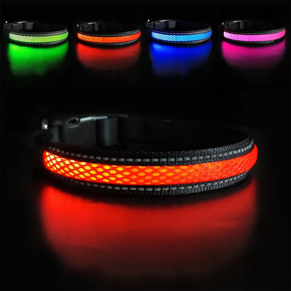 Flashing Nylon Dog Collar with LED Lighting, USB Charging Port & Steel Leash Clip, High Visibility Dog Spotter