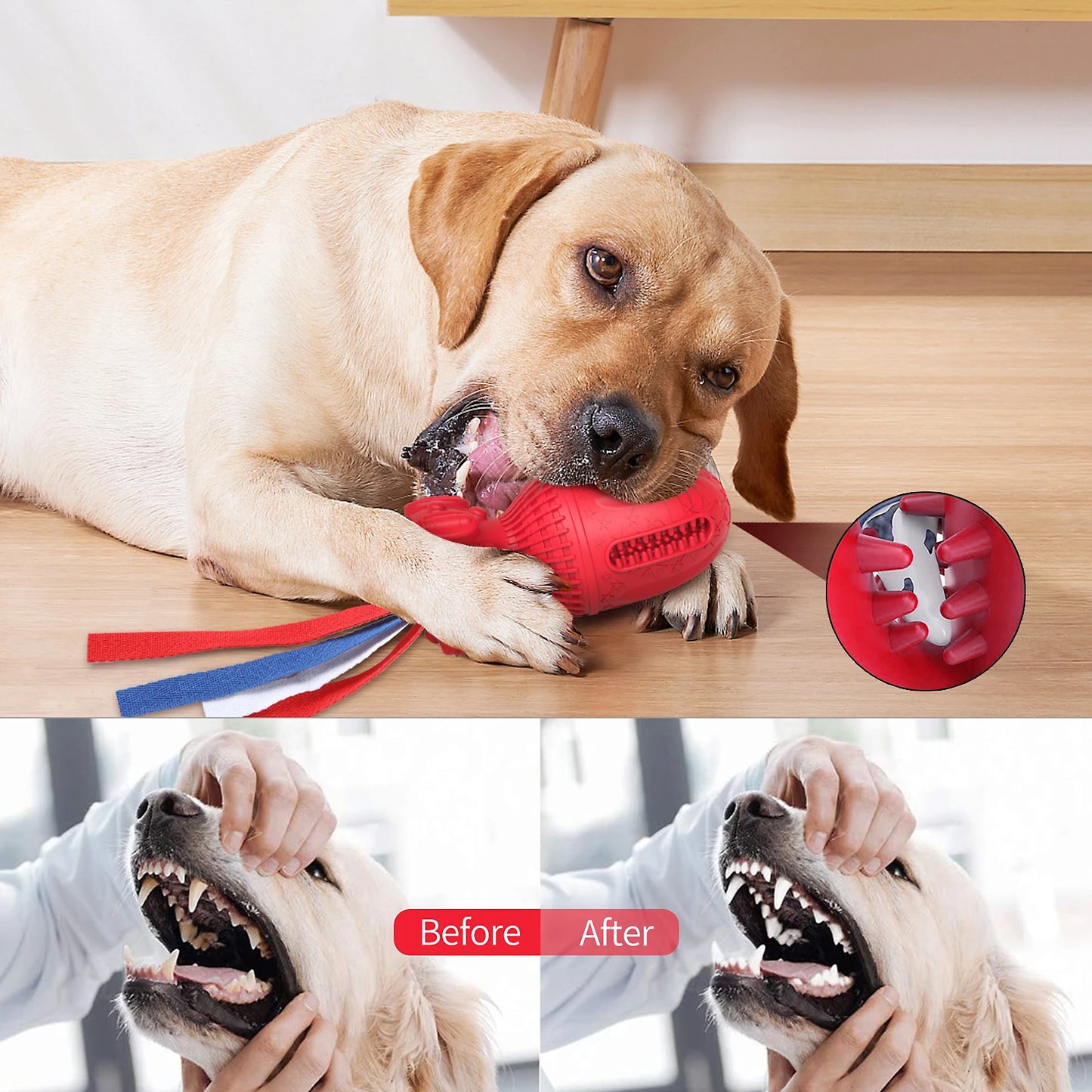 Dog Interactive Rubber Chew Toy, Squeaks When Chewed, Made from Non-Toxic Rubber & Features an Easy Grip Rope