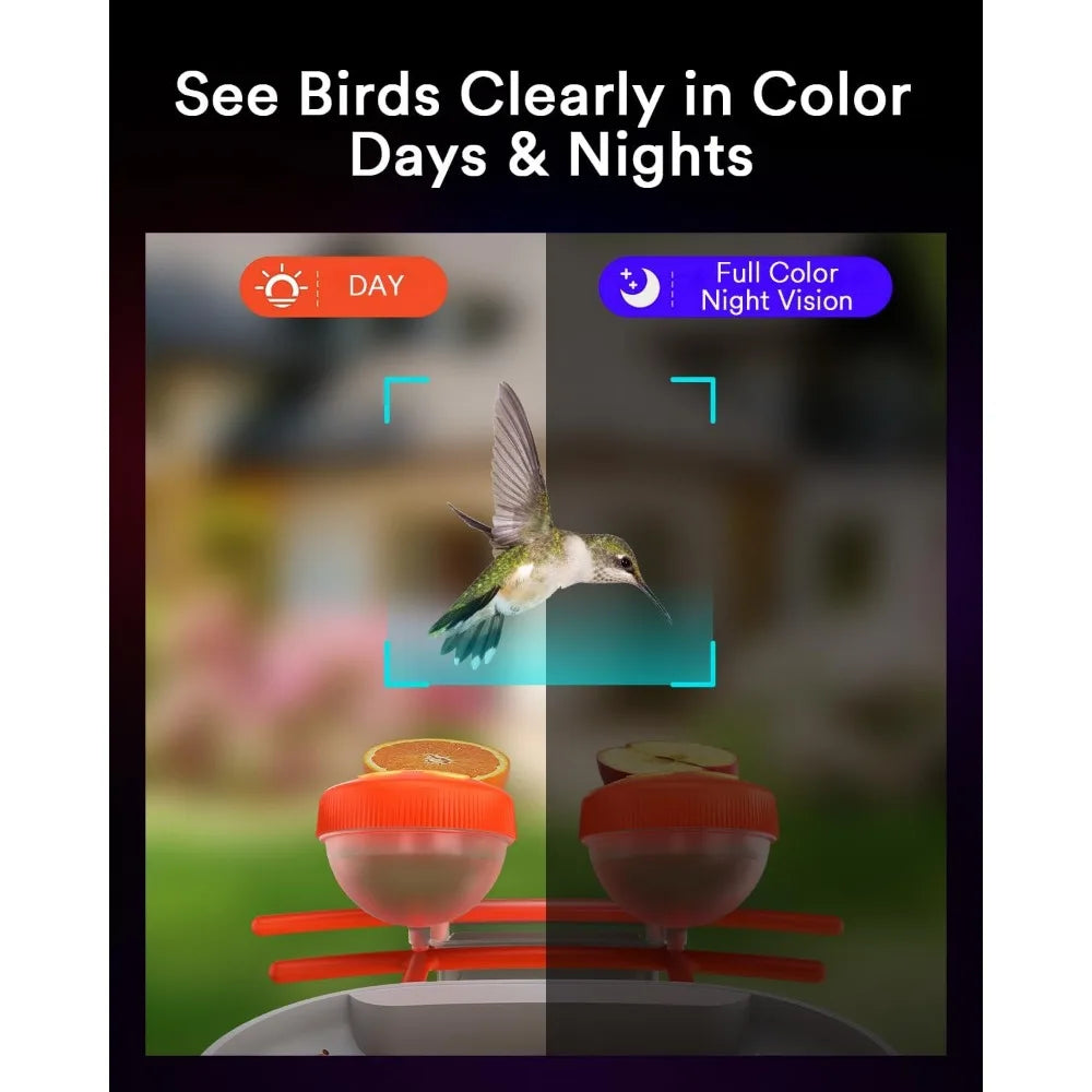 Smart Bird Feeder with Solar Powered Camera, 1080P HD, AI Identify 10000 Bird Species, Auto Capture Videos & Motion Detection